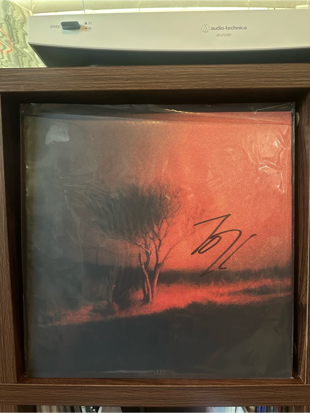 Joji Piss in the Wind SIGNED Vinyl Newbury Comics